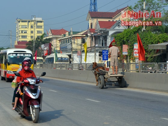 Một chiếc xe ngựa 