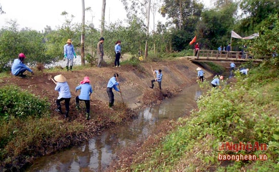 Các đơn vị quản lý thủy lợi cùng nhân dân nạo vét kênh mương, đảm bảo vừa tiêu ùng vừa tưới cho sản xuất.