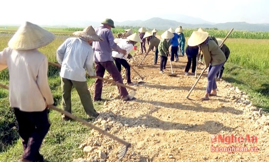 Chiến dịch làm thủy lợi còn gắn với xây dựng, tu bổ giao thông nội đồng.