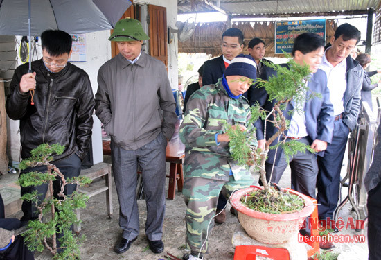 Thăm vườn cây cảnh của gia đình ông Đoàn sinh Hướng, xóm 4, xã Nghi Ân, là địa chỉ chuyên sản xuất, cung cấp các loại cây cảnh có giá trị trên địa bàn trong tỉnh.