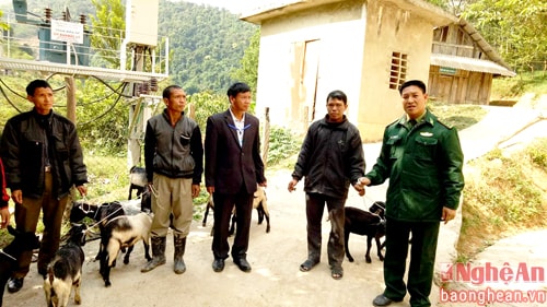 BĐBP Nghệ An tặng con giống cho các hộ nghèo