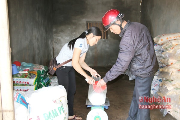 HTX nông nghiệp Giang Sơn Đông (Đô Lương) cung ứng vật tư phân bón cho thành viên.