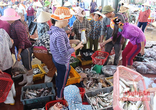  Từ 12 h trưa, tàu thuyền bắt đầu về lạch Vạn và bến Lạch Vạn