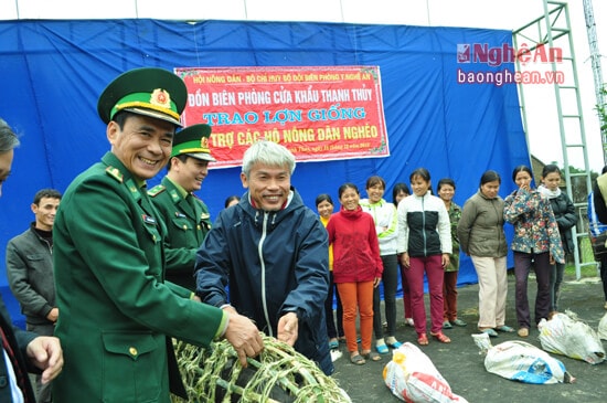 Đại tá Trần Minh Công - Phó Chính ủy Bộ chỉ huy Biên phòng tỉnh bàn giao lợn giống cho bà con