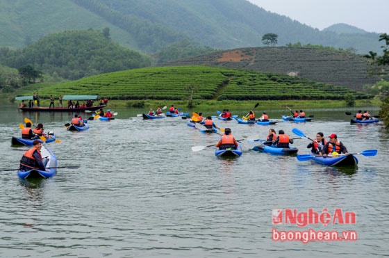 Những tay chèo không cưỡng lại được trức khung cảnh nước mênh mông và những đảo chè bậc thang xanh tươi.  