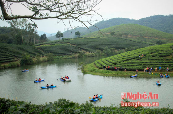 Từ đảo chè nhìn xuống, những con thuyền lượn lờ quanh ốc đảo tạo nên một khung cảnh yên bình.