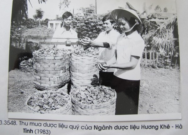 bao-cap-y-te-mot-thoi-dan-chua-benh-khong-mat-tien-2