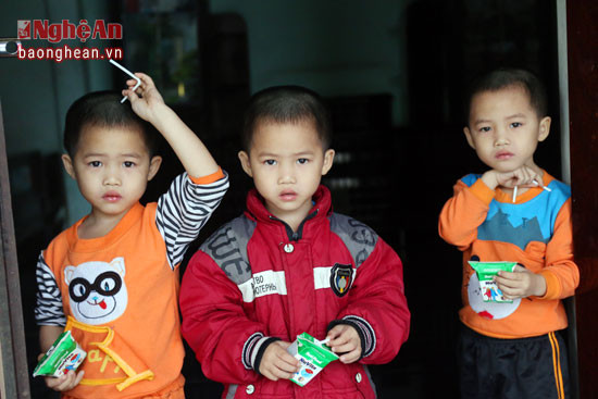 3 cháu Nguyễn Hữu Đạo, Nguyễn Hữu Đức, Nguyễn Hữu Độ phát triển khỏe mạnh, bụ bẫm.