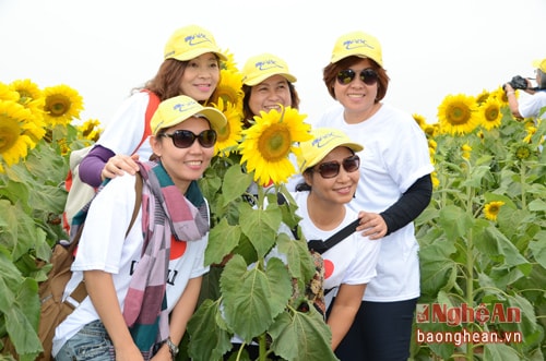 Những du khách Thái Lan này cho biết: Ở Thái Lan cũng có 01 cánh đồng hoa hướng dương tại tỉnh Chon Buri nhưng cánh đồng đó nhỏ hơn rất nhiều và không đẹp bằng. Họ lấy làm tiếc giá mà trời lạnh hơn 1 tý nữa chắc sẽ có thêm nhiều ảnh đẹp hơn.