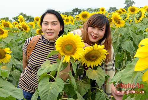 Những người đẹp chuyển giới Thái Lan làm duyên trước hoa.