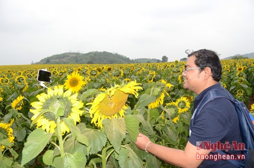 Anh Athitruta – một phóng viên chuyên viết tin bài du lịch cũng đã có mặt tại cánh đồng hoa. Athiruta cho hay: Sẽ cố gắng ghi lại những khoảnh khác, cái hay cái đẹp ở Nghệ An để phản ánh lên các trang, tạp chí du lịch; Cung cấp hình ảnh thông tin cho các công ty du lịch giúp họ thiết kế tour du lịch Thái Lan - Việt Nam với điểm đến Nghệ An.