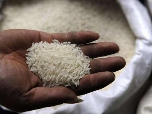 Nhìn bằng mắt thường, gạo giả và gạo thật không khác nhau mấy. Ảnh: Reuters