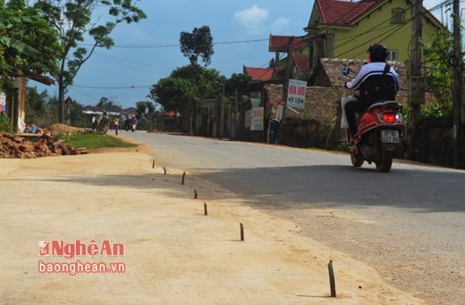 Hầu như những vật giống chông này được dựng lên trên nền xi măng do người dân tự làm nối với đường.