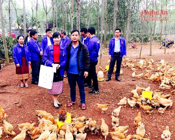 Các thành viên đoàn công tác của Thanh niên Lào chụp ảnh lưu niệm, tìm hiểu thông tin về trang trại nuôi gà của anh Đức.