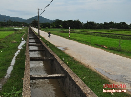 Đảng bộ Công ty Thủy lợi Nam lãnh đạo sản xuất, đảm bảo nước tưới phục vụ sản xuất