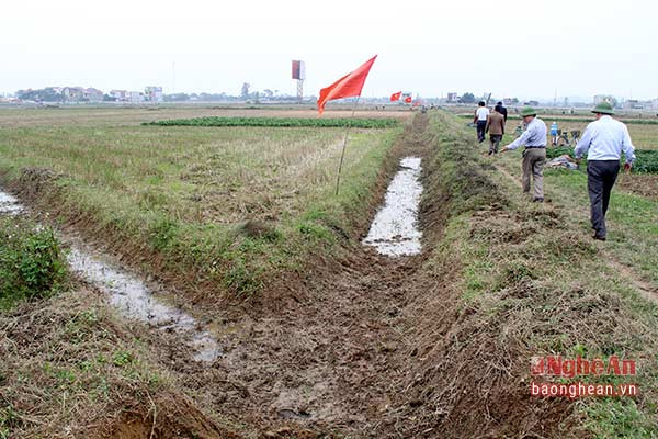 Nhiều tuyến kênh mương ở Nghi Lộc được khơi thông, sẵn sàng chuyển nước cho sản xuất nông nghiệp. 