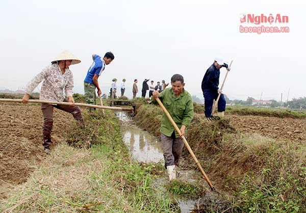 Nhân dân xóm 13, xã Nghi Long (Nghi Lộc) đang hoàn thành nạo vét những km kênh mương cuối cùng trên địa bàn.