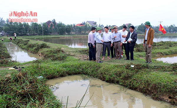 Đồng chí Đinh Viết Hồng cùng đoàn công tác đánh giá cao tinh thần vào cuộc của nhân dân các địa phương. Theo báo cáo của Chi cục Thủy lợi tỉnh, đến nay có 80 % số kênh mương thủy lợi ở các địa phương đã hoàn thành nạo vét, tu sửa, sẵn sàng phục vụ tốt cho sản xuất vụ xuân 2017.