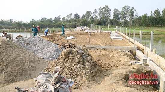 Mô hình kinh tế trang trại của anh Nguyễn Đình Dũng (thôn 7, xã Nghi Trung, Nghi Lộc) thời điểm mới triển khai xây dựng. Ảnh: Đ.T