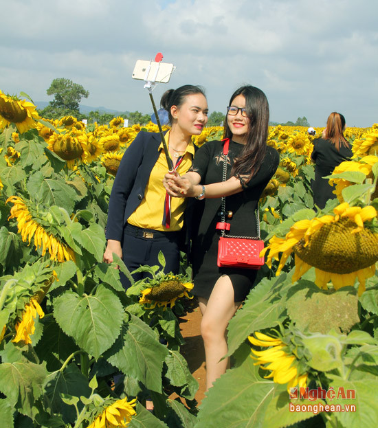 Các cô gái trẻ cùng nhau chụp hình bên những bông hoa.