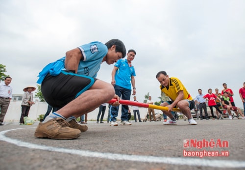 Thi đấu đẩy gậy trong chương trình Ngày hội Hoa Hướng Dương.