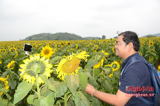 Phóng viên báo chí Thái Lan Athitruta ghi lại những hình ảnh đẹp của cánh đồng hoa hướng dương để phục vụ cho công tác tuyên truyền du lịch của mình.