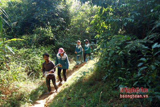 Thời gian gần đây, nhiều người ở xã vùng cao Na Ngoi (Kỳ Sơn) lên rừng 