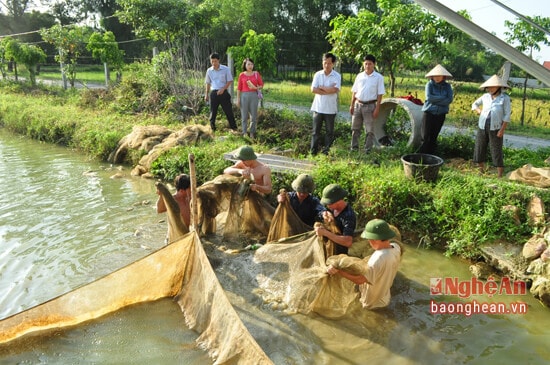 Đại diện Trung tâm khuyến nông tỉnh, trạm khuyến nông huyện Nghi Lộc và người dân đến chứng kiến buổi nghiệm thu mô hình cáo leo