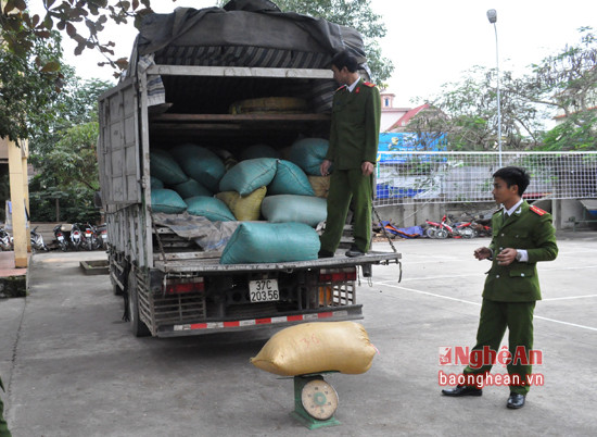 1,1 tấn hạt bí trên xe tải được cơ quan công an huyện Thanh Chương đưa về trụ sở kiểm tra.