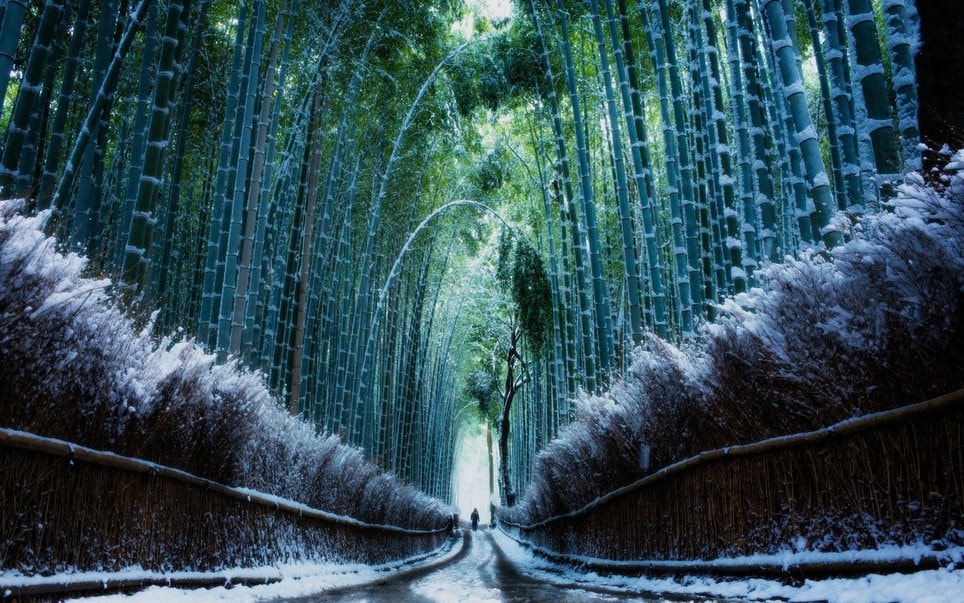 Những vùng đất hóa xứ sở thần tiên khi đông về hình ảnh 6 Công viên Arashiyama (Nhật Bản): Arashiyama là công viên nổi tiếng ở Kyoto, Nhật Bản, với phong cảnh lãng mạn và những ngôi đền cổ kính. Mùa đông đến, tuyết phủ dọc lối đi trong rừng tre ở công viên này trông giống như lối đi đến thiên đường. Ảnh: Getty Images/Moment RF.