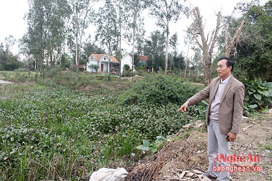 Ông Nguyễn Khắc Miên tại khu đất ông vừa thuê của UBND xã Nghi Vạn (Nghi Lộc). 