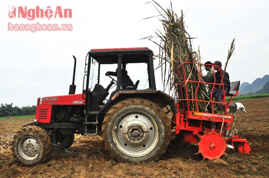 Đội ngũ kỹ thuật của Nhà máy đang áp dụng thí điểm trồng mía bằng máy đa chức năng Belarut