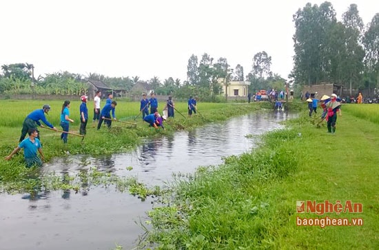 Phong trào làm thủy lợi được nhân dân các địa phương huyện Diễn Châu hưởng ứng tích cực.