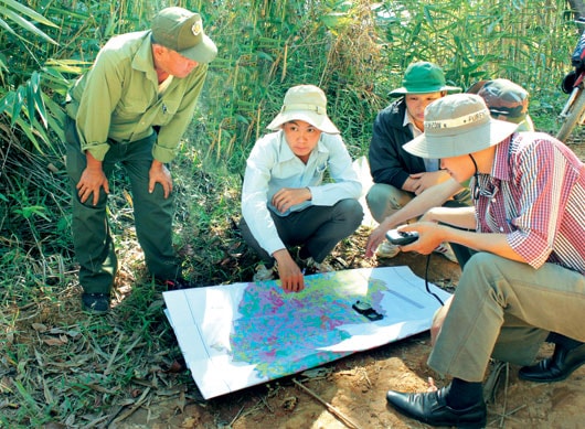 Ảnh minh họa.