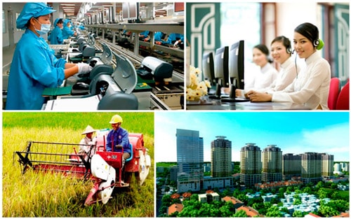 Ảnh minh họa - Internet