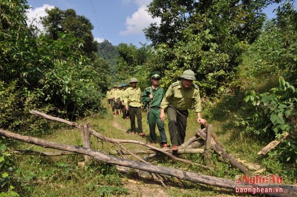Kiểm lâm phối hợp bộ đội biên phòng tuần tra bảo vệ rừng.