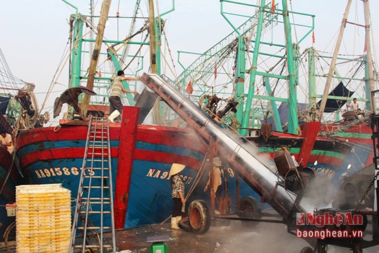 Ngư dân tiếp nguyên liệu, xăng dầu, đá lạnh để tiếp tục vươn khơi trong những ngày đầu năm mới.