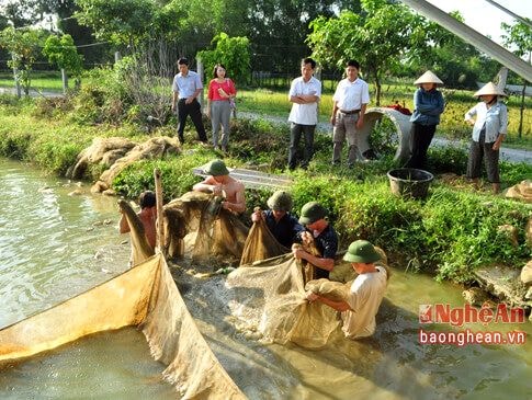 Đại diện các Trạm khuyến nông các huyện, thành phố, thị xã dự hội nghị.