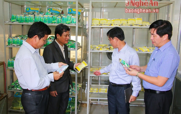 Trung tâm ứng dụng tiến bộ KHCN Nghệ An đã sản xuất thành công chế phẩm Biogreen xử lý tồn dư thuốc bảo vệ thực vật trong đất trồng rau.