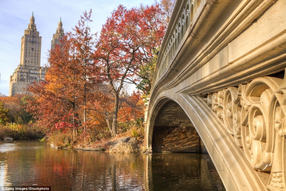 Công viên trung tâm thành phố New York, Mỹ với khung cảnh đầy sắc màu là điểm đến lý tưởng cho các cặp đôi.