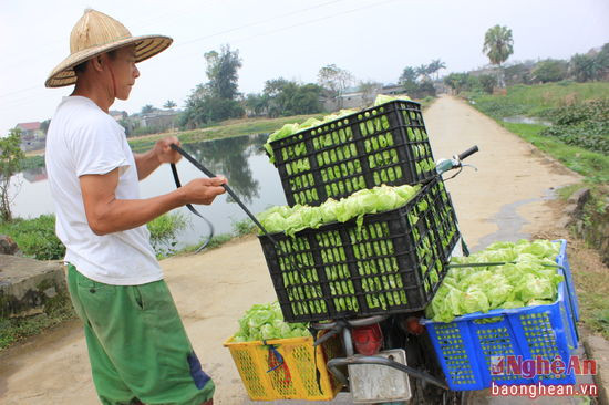 Mang rau ra chợ