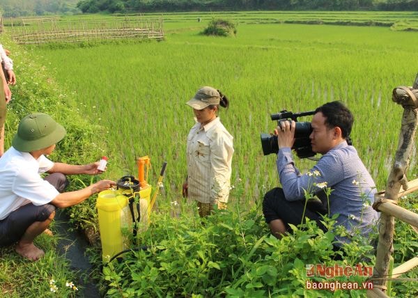 CTV Lữ Phú.