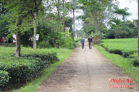 Hệ thống đường giao thông Đỉnh Sơn.