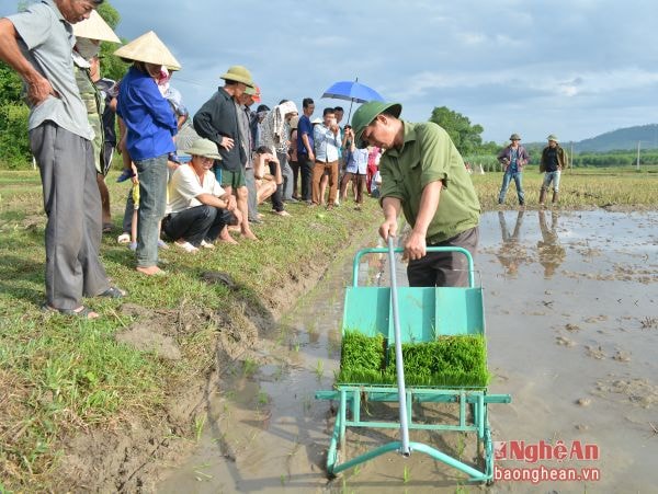 Trình diễn máy cấy lúa không động cơ.