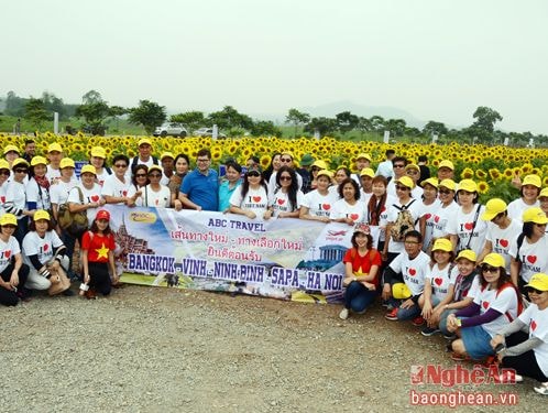 Du khách Thái Lan đến tham quan cánh đồng hoa hướng dương, huyện Nghĩa Đàn - ảnh: Thành Chung.