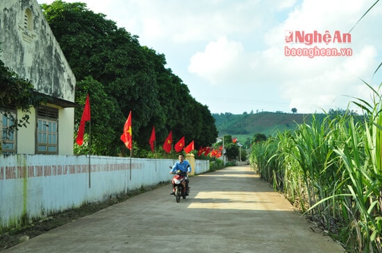 Một góc Nông thôn mới xóm Phú Lộc trong ngày hội đón Bằng công nhận NTM và kỷ niệm 20 năm thành lập xã