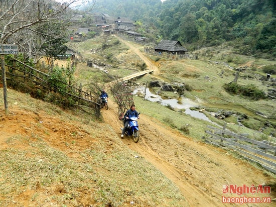 Từ đường quốc lộ đi vào các bản nơi có đào cũng mất 40-50km chạy xe máy dừng, đèo dốc cheo leo. Ảnh: Nguyễn Hùng Cường.