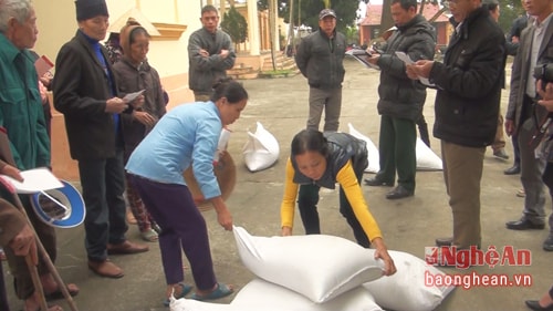 Người dân trực tiếp UBND xã để nhận gạo cứu đói dịp tết Nguyên Đán Đinh Dậu