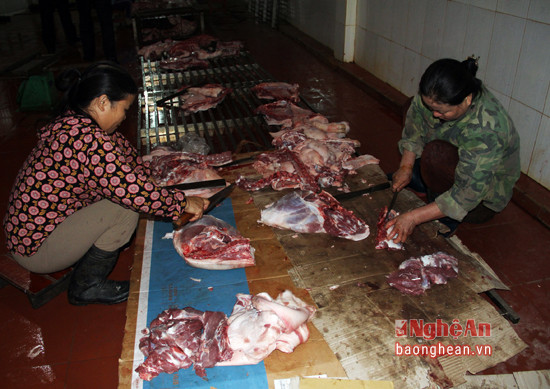 Tiếp đó, đoàn giám sát tại cơ sở giết mổ của ông Bùi Văn Quang (xóm 3, xã Diễn Đồng, huyện Diễn Châu). Tại đây, thịt lợn sau khi giết mổ được bày trên một giàn thép nhưng khoảng cách so với mặt đất không đúng với quy định.