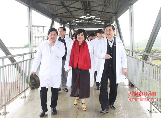 Đoàn đến thăm trang trại bò sữa thuộc Tập đoàn TH True milk (huyện Nghĩa Đàn). Ảnh Phương Thảo 